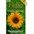 Delia Smith's Summer Collection [VHS]