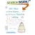 1001 Ways To Save Money . . . and Still Have a Dazzling Wedding