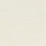 国産壁紙(クロス) 糊なし 東リ POWER(2012-2015) 抗菌防臭・消臭 WVP7221【1m単位切売】