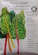 Swiss Chard Five Color Certified Organic Seeds 90 Seeds