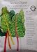 Swiss Chard Five Color Certified Organic Seeds 90 Seeds