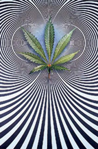 Empire 13040 Virtual - Op Leaf - Fantasy Plakat Poster Druck - 61 x 91.5 cm Preisvergleich