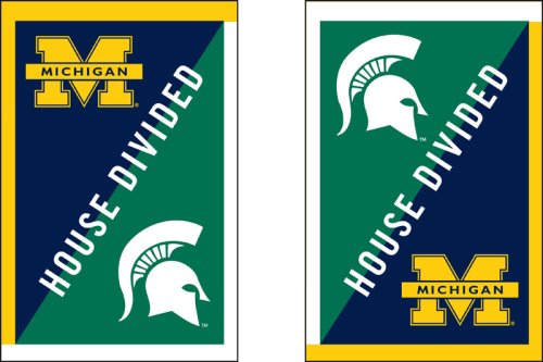 Flag, Reg, Michigan & Michigan State House Divided