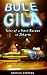 Bule Gila: Tales of a Dutch Barman in Jakarta