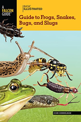 Basic Illustrated Guide to Frogs, Snakes, Bugs, and Slugs (Basic Illustrated Series)