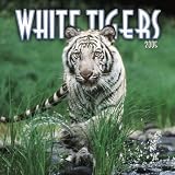 White Tigers 2005 Calendar image