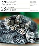 Art Gallery Calendar 2009 (Page a Day Gallery Calendar)