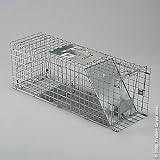 Sporting Goods : Woodstream #4088 Small Cage Trap