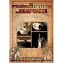 The Extraordinary Voyages of Jules Verne, From the Sea to the Air, from the Earth to the Moon
