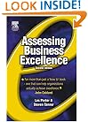 Assessing Business Excellence, Second Edition