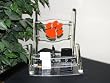 Clemson Tigers - Collegiate Acrylic Desktop Organizer