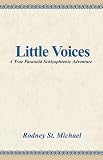 Little Voices : A True Paranoid Schizophrenic Adventure