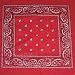 Surplus Bandana Paisley rot