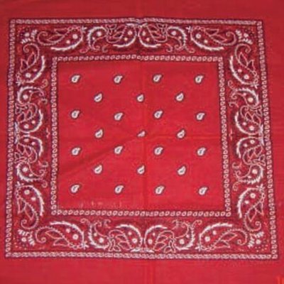 Surplus Bandana Paisley rot