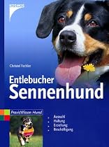 Entlebucher Sennenhund: Auswahl, Haltung, Erziehung, Besch&auml;ftigung