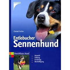 Entlebucher Sennenhund: Auswahl, Haltung, Erziehung, Besch�ftigung