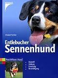 Entlebucher Sennenhund: Auswahl, Haltung, Erziehung, Besch�ftigung