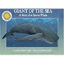 Giant of the Sea: The Story of a Sperm Whale (Smithsonian Oceanic Collection)