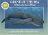 Giant of the Sea: The Story of a Sperm Whale (Smithsonian Oceanic Collection)