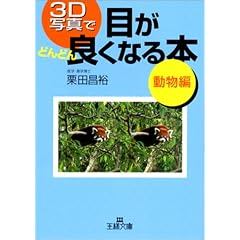 3D�ʐ^�Ŗڂ��ǂ�ǂ�ǂ��Ȃ�{ ������ (���l����)
