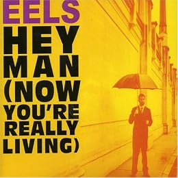 Eels Foto 3