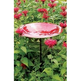 Glossy Enamel Bird Bath Red by Achla