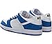 Nike Men's Dunk Low Pro IW Skate Shoe