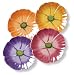 Clay Art Flower Market Pansy Salad Plate, Assorted Colors, Set of 4