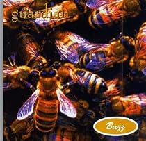 Buzz