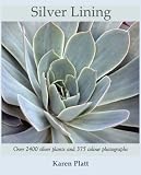 Amazon / Black Tulip Publishing is the correct publisher: Silver Lining (Karen Platt)