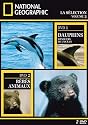 National Geographic : Dauphins, les danseurs de l'oc&eacute;an / les b&eacute;b&eacute;s animaux - Edition digipack 2 DVD