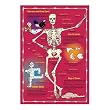 Ravensburger Skeleton 200 Piece Jigsaw Puzzle