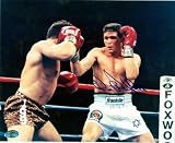 Dana Rosenblatt Autographed/Hand Signed 8x10 Photo (Boxing, Jewish) vs. Vinny Paz