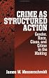 Crime as Structured Action: Gender, Race, Class, and Crime in the Making
