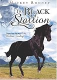  : The Black Stallion