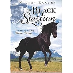 The Black Stallion