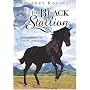 Black Stallion [1990] (REGION 1) (NTSC)