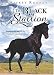 The Black Stallion