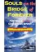 Souls on the Bridge of Forever - Novella for the Christian Spirit