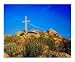 Exegesis 13 Photographic Poster Print by Gerzon Ronces, 24x20