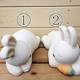 オーナメント：ガーデンドール（おやすみウサギ）*【形を選べます】 (1.ニンジンなし)