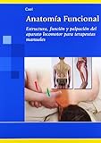 Anatomia funcional