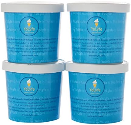 Chocolate Lovers Ice Cream with Probiotics Collection 4 pack