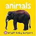Animals: 1