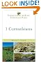 1 Corinthians (Understanding the Bible Commentary Series)