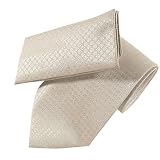 New Mens Silver Champagne Tie Necktie Hanky Set