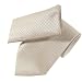 Apparel : New Mens Silver Champagne Tie Necktie Hanky Set