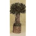 22" HIGHPOINT BOXWOOD L ROUND RATAN 2PC.