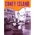Coney Island: The People's Playground