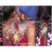 Viva Colores/  Vivid Colors: A Salute to the Indomitable People of Guatamala / Un Saludo a La Indomable Gente De Guatamala